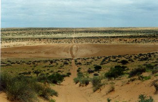 Simpson.jpg (22555 bytes)