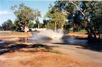 1999-10.jpg (25030 bytes)