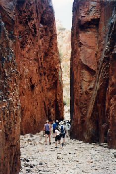 1999-11.jpg (26033 bytes)