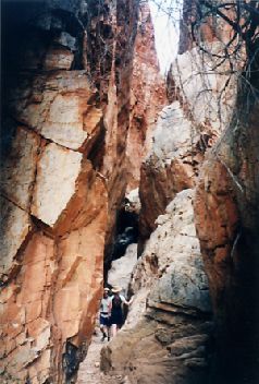 1999-12.jpg (26162 bytes)