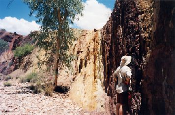 1999-13.jpg (28218 bytes)