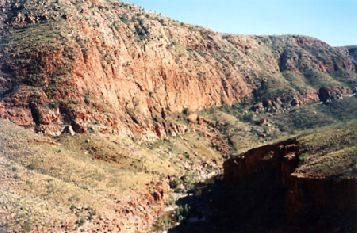 1999-14.jpg (28596 bytes)