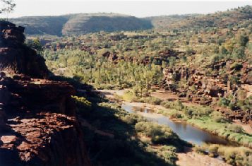 1999-15.jpg (25400 bytes)