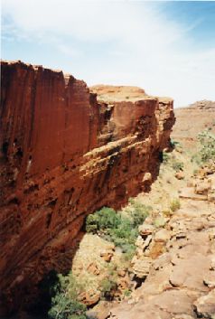 1999-19.jpg (19764 bytes)