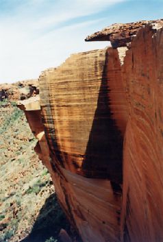 1999-20.jpg (18852 bytes)