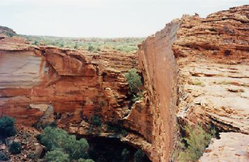 1999-21.jpg (23681 bytes)