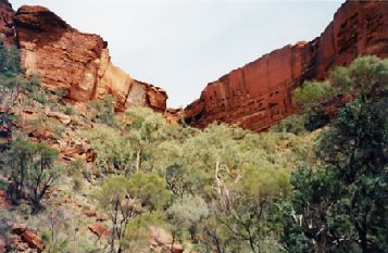 1999-22.jpg (24870 bytes)