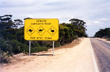 1999-34.jpg (18320 bytes)