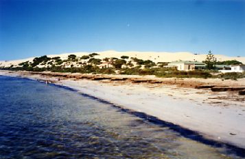 1999-36.jpg (18563 bytes)