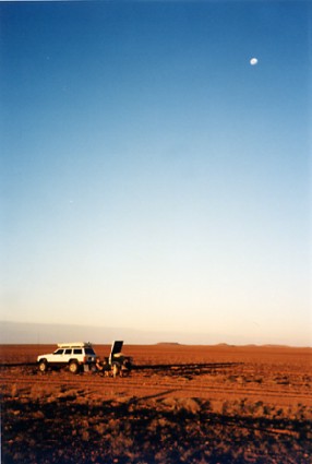 Desertsp.jpg (22311 bytes)