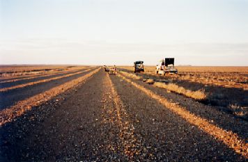 1999-5.jpg (19064 bytes)