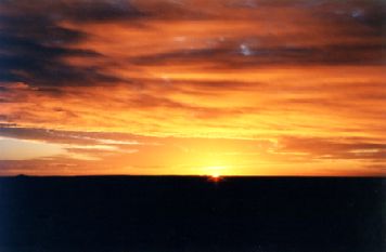 1999-6.jpg (10752 bytes)