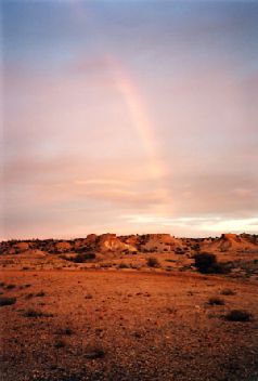 1999-7.jpg (13247 bytes)