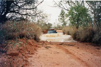 1999-9.jpg (27547 bytes)