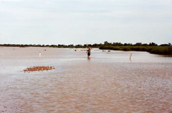 Eyre1.jpg (12120 bytes)