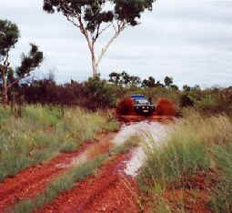 Cavesr.jpg (22056 bytes)