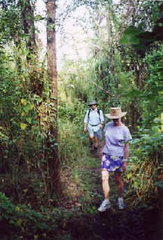 Jwalk.jpg (28537 bytes)