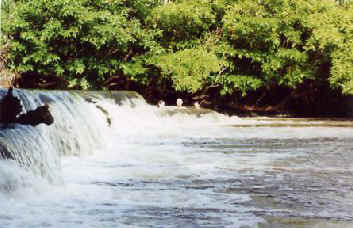 Mfalls.jpg (26330 bytes)