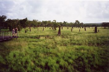 Mmound.jpg (16994 bytes)