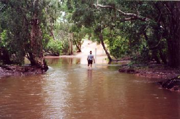 Creekw.jpg (21899 bytes)