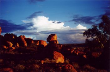 Devil2.jpg (13564 bytes)