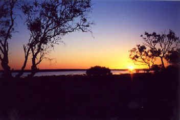 Cooper.jpg (14366 bytes)