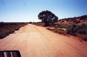 Wtrack.jpg (14010 bytes)