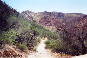 Ark1.jpg (22330 bytes)