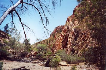 Ark2.jpg (28200 bytes)