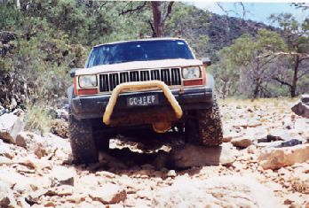 Ark4.jpg (28254 bytes)