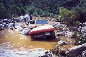 Ark6.jpg (25716 bytes)