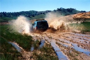 Kens.jpg (26582 bytes)