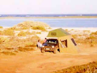 RoofT.jpg (14273 bytes)